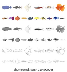 Different types of fish cartoon icons in set collection for design. Marine and aquarium fish vector symbol stock web illustration.