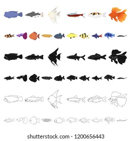 Different types of fish cartoon icons in set collection for design. Marine and aquarium fish vector symbol stock web illustration.