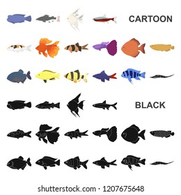 Different types of fish cartoon icons in set collection for design. Marine and aquarium fish vector symbol stock web illustration.