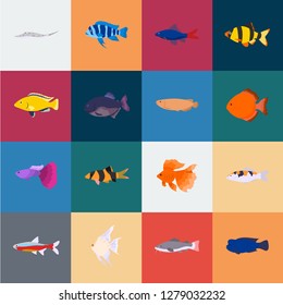 Different types of fish cartoon icons in set collection for design. Marine and aquarium fish vector symbol stock web illustration.