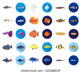 Different types of fish cartoon,flat icons in set collection for design. Marine and aquarium fish vector symbol stock web illustration.