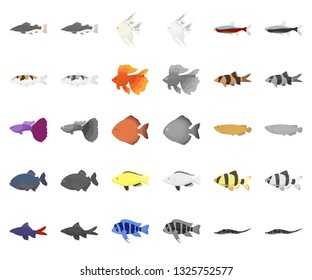 Different types of fish cartoon,monochrom icons in set collection for design. Marine and aquarium fish vector symbol stock web illustration.