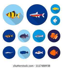 Different types of fish flat icons in set collection for design. Marine and aquarium fish vector symbol stock web illustration.