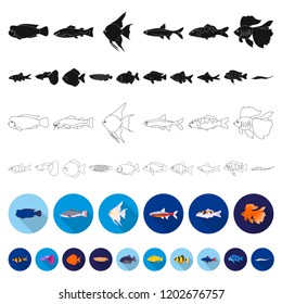 Different types of fish flat icons in set collection for design. Marine and aquarium fish vector symbol stock web illustration.