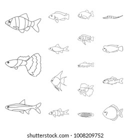 Different types of fish outline icons in set collection for design. Marine and aquarium fish vector symbol stock web illustration.
