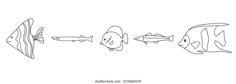 Different types of fish outline icons in set collection for design. Marine and aquarium fish bitmap symbol stock web illustration.