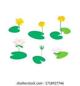 Different types of flower. Water lily. Flat line vector illustration.