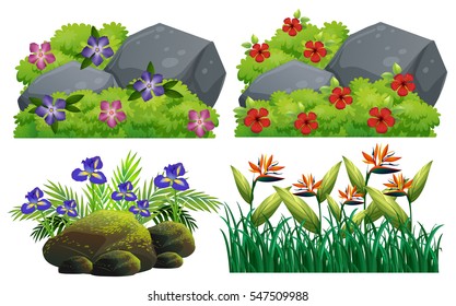 Different types of flowers in bush illustration