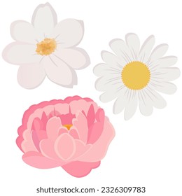 Different types of flowers isolated on white background. Vector illustration EPS10.