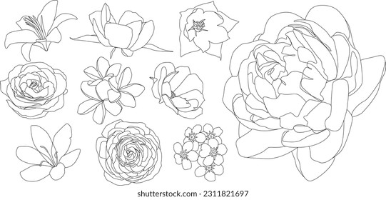 Diferentes tipos de flores en estilo de arte lineal para la personalización del diseño aislado en fondo blanco