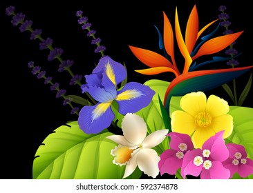 Different types of flowers on black background illustration