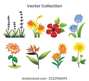 Different types of flowers and silhouette Vector design