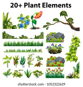 Different types of flowers and trees illustration