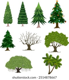  Different types of forest plants. Coniferous and deciduous. Summer pine. High oak. christmas tree, baniyan tree etc