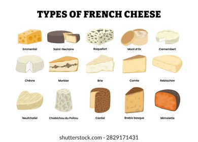Different types of french cheese types set collection. Emmental saint nectarine roquefort, mont d or, camembert chevre morbier, brie, comte reblochon neufchatel, chabichou cantal brebis mimolette.