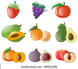 Different types of fresh fruits illustration