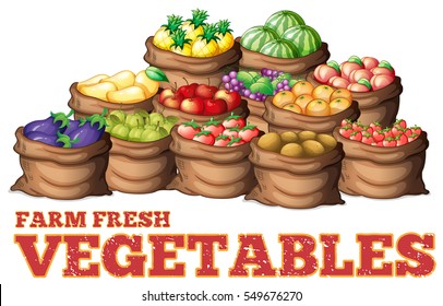 Different types of fresh vegetables illustration