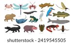 Different types of Freshwater Animals set cartoon collection, various seawater environment animals wildlife, vector illustration, suitable for education poster infographic guide catalog flat