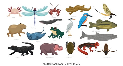 Diferentes tipos de animales de agua dulce establecen la recolección de dibujos animados, varios animales de medio ambiente marino fauna silvestre, ilustración vectorial, adecuado para la educación afiche guía de infografía catálogo plano