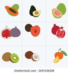 Different types of fruit. Vector illustration.
