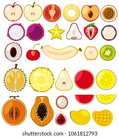 Different types of fruits cut in half illustration