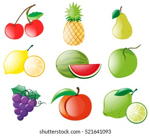 Verschiedene Obstsorten - Illustration