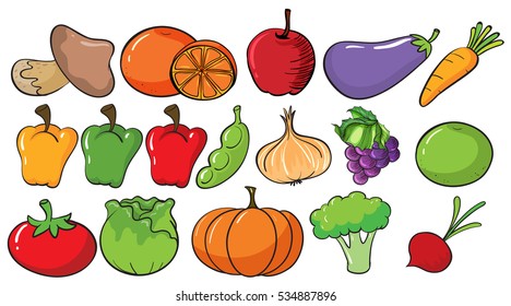 Different types of fruits and vegetables illustration
