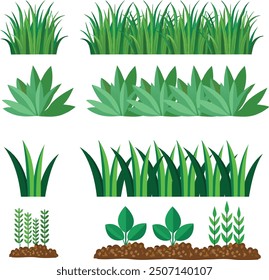 Different types of grasses or field , showcasing varying blade lengths, colors, and textures, from fine, lush green to coarse.