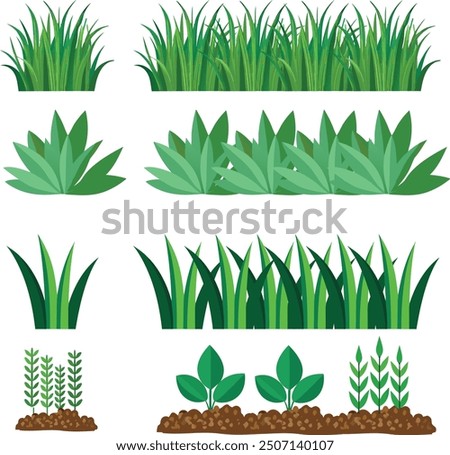 Different types of grasses or field , showcasing varying blade lengths, colors, and textures, from fine, lush green to coarse.