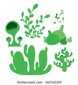 different types of green fairy forest moss vector 