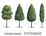 Different Types of Green Trees Set, Isolated Flat Illustration of Maple, Pine, Cypress, and Poplar. Vector Style Tree Collection, Eco Friendly Nature Symbols, Forest and Garden Vegetation Elements. Green Foliage Tree Icons Set for Architecture Site Plans and Landscape Infographics