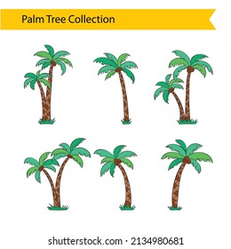 Conjunto de palmeras dibujadas a mano 
vector