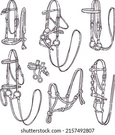 Different types of horse bridles. Collection equestrian ammunition for backgrounds, wallpapers, textile, postcards, t-shirt prints. Set elements for horses. Vector hand drawn style illustration.