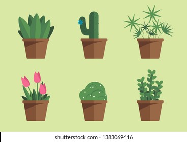 Different types of houseplants in pots. Flowers. Cactus, tulip, cyperus. Vector flat illustration.