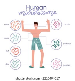 Different types of human microbiome. Infographic with a man character. Intestine, mouth, skin, genitals microflora with healthy probiotic bacteria. Flat medicine illustration of microbiology checkup.