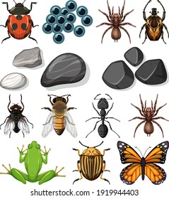 Different types of insect with nature elements illustration