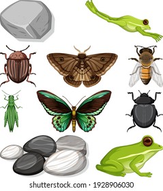 Different types of insect with nature elements illustration
