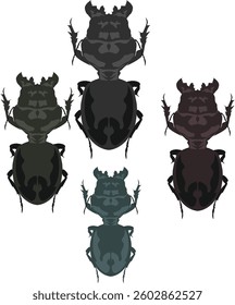 Different types of insect with nature elements