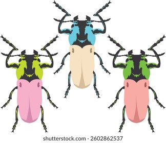 Different types of insect with nature elements