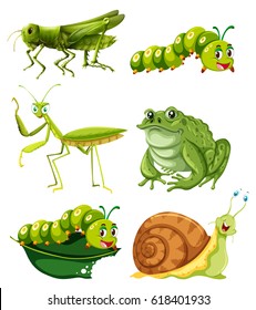 Different types of insects in green color illustration