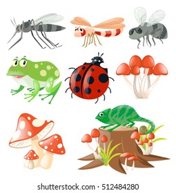 Different types of insects illustration