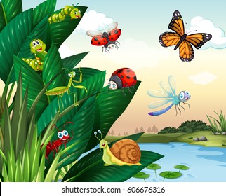 Different types of insects at the pond illustration