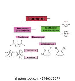 The different Types of Isomers: Constitutional Isomers, Stereoisomers, Enantiomers, and Diastereomers. In chemistry, isomers are molecules or polyatomic ions with identical molecular formula vector 