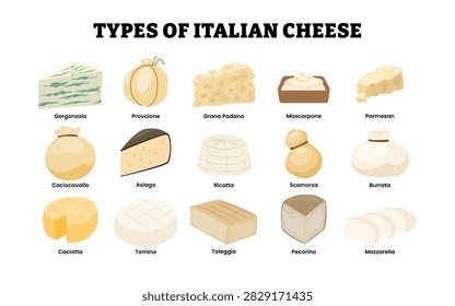 Different types of italian cheese types. Labeled gorgonzola, provolone, grana padano mascarpone parmesan, caciocavallo asiago ricotta, scamorza burrata, caciotta tomino taleggio pecorino, mozarella.