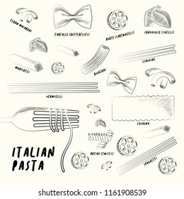 Different types of italian pasta. Pasta shapes.