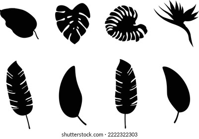 Diferentes tipos de sihouette de planta hoja arte vectorial e ilustración