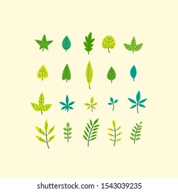 Different types of leaves - icon set. Flat vector illustration.