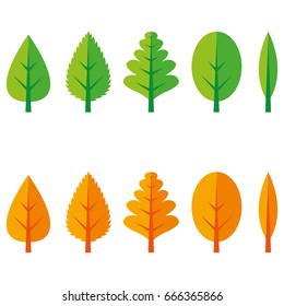 Different types of leaves in summer and autumn colors.