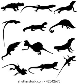 Different types of lizard silhouette