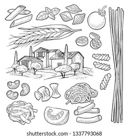 Different types macaroni. Farfalle, conchiglie, maccheroni, fusilli, penne, pipe, spaghetti, ruote, fettuccine, tomato, ear wheat and farm. Vector vintage black engraving isolated on white